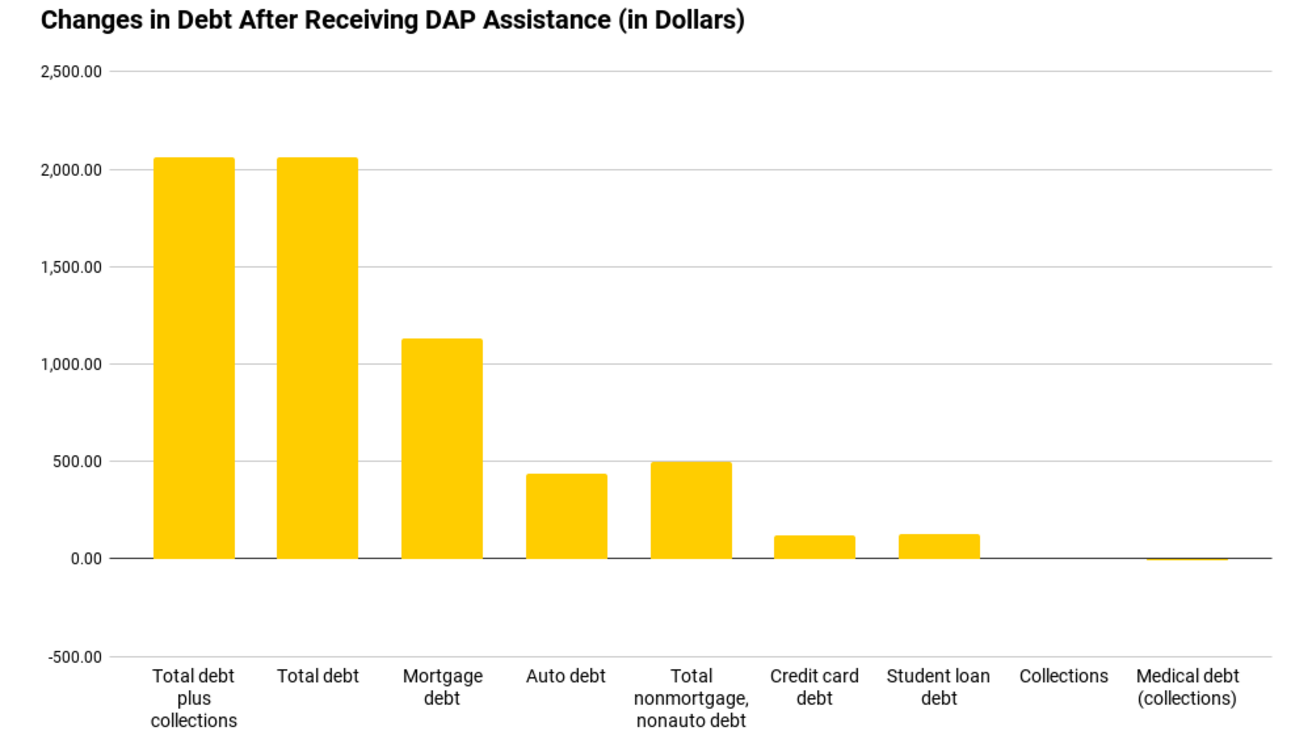 Bar graph with 9 categories illustrating how debt increased or decreased in certain categories after the DAP.